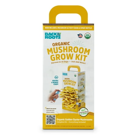 Back to the Roots Organic Golden Oyster Mushroom Grow Kit, 4 Pieces