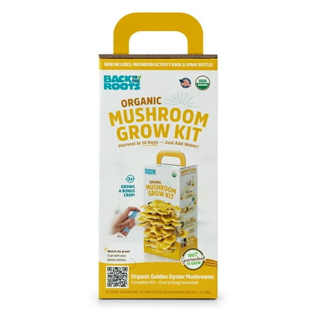 Back to the Roots Organic Golden Oyster Mushroom