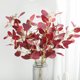 thumbnail image 1 of Gwong Decoración hogareña 1pc Artificial Eucalyptus Deja Falso Flor Planta Boda Home Home Cafe Decoración de fiesta Gwong 21053202, 1 of 7