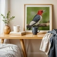 thumbnail image 5 of Red-Headed Woodpecker - Photography Bird Wildlife Nature Animal Woodland Scenic Wilderness Unframed Wall Art Print 20 x 20 inches, 5 of 9