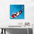 thumbnail image 2 of ARTCANVAS Koromo Koi Carp Fish Japan China Asia Canvas Art Print - Size: 18" x 18" (1.50" Deep), 2 of 9