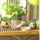 thumbnail image 3 of 2024 Mini Self-Suction Ceramic Flower Pots with Tray for Succulents Cactus Flower Pots Decoration for Home, Office, Indoor Puppy, 3 of 4