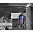 thumbnail image 2 of McLoughlin, James 18x15 Gold Ornate Wood Framed with Double Matting Museum Art Print Titled - Flags of Our Farmers XI, 2 of 4