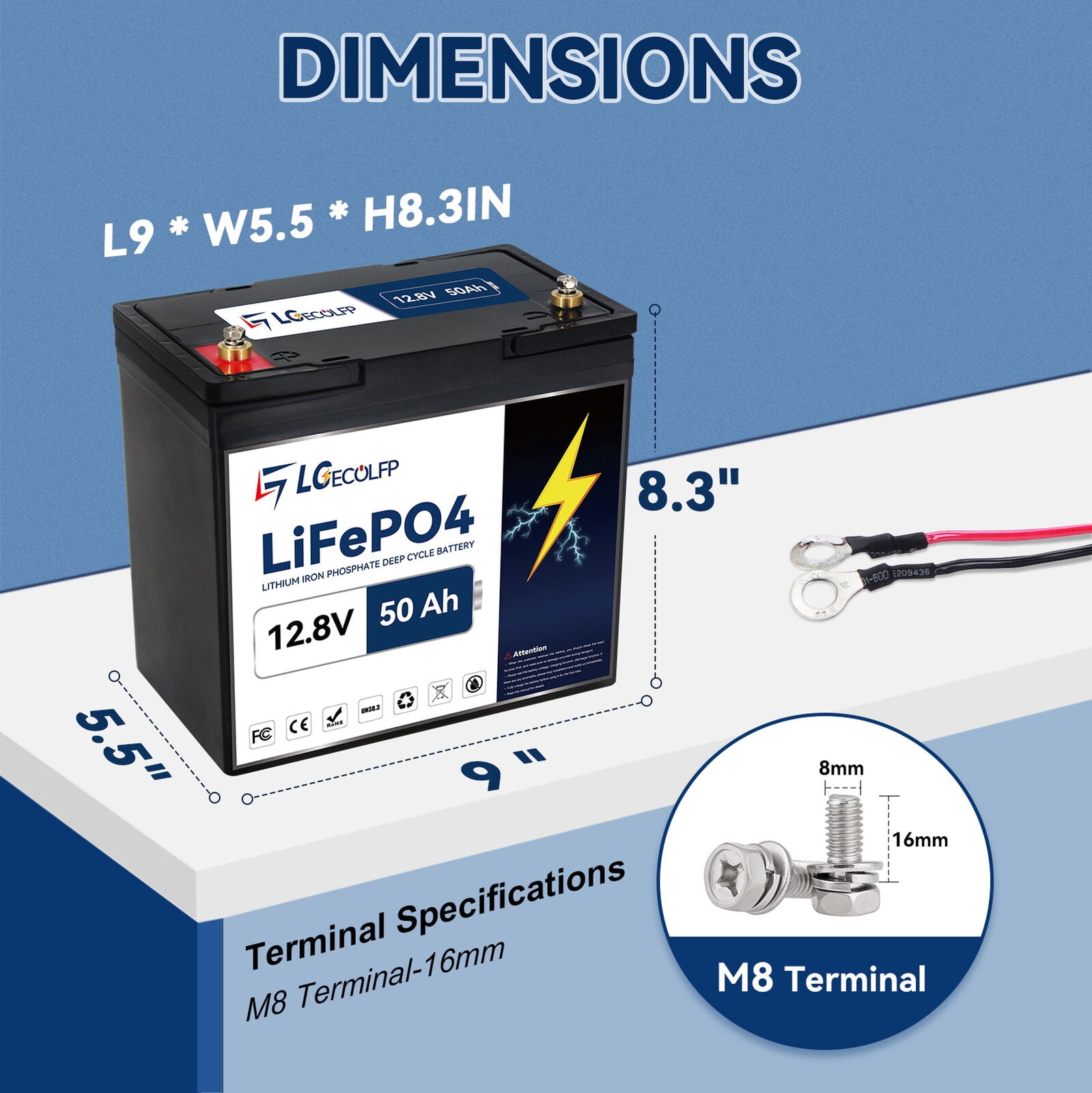 LGECOLFP Lithium Ion 12.8 Volt Vehicle Battery,850 CCA
