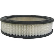 ACDelco Engine Air Filter, ACPA391C