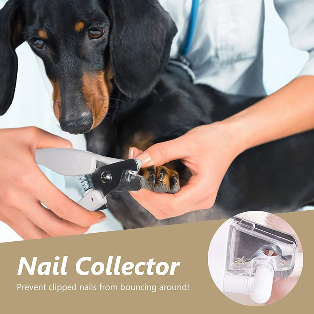 The Best Dog Nail Clippers For At-Home Grooming