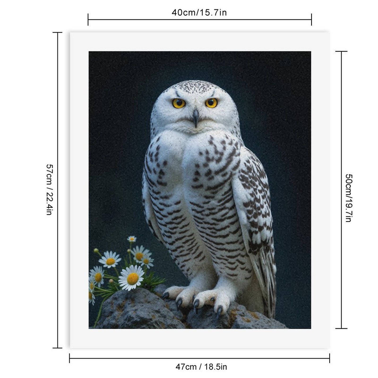 Paint by Numbers Kit for Adults, White Owl Perched On Rock Daisies Paint by Numbers, Easy Paint by Numbers Kit for Adults Beginner, DIY Adult Paint by Number Kits on Canvas, Home Decor