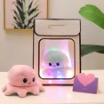 thumbnail image 1 of Birthday Gift To Girls , For Best Friend Classmate Couple, Sweet Faced Cable Puppets Creativity Christmas Gift,Pink To Light BlueGift Bag With Lanterns/greeting Cards/raffia. Gao Jinjia unisex, 1 of 2