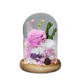 thumbnail image 3 of Eternal Rose In Glass Cover, Preserved Flower, Suitable For Christmas, Wedding, Valentine's Day, Anniversary Desktop Decoration-week, 3 of 3