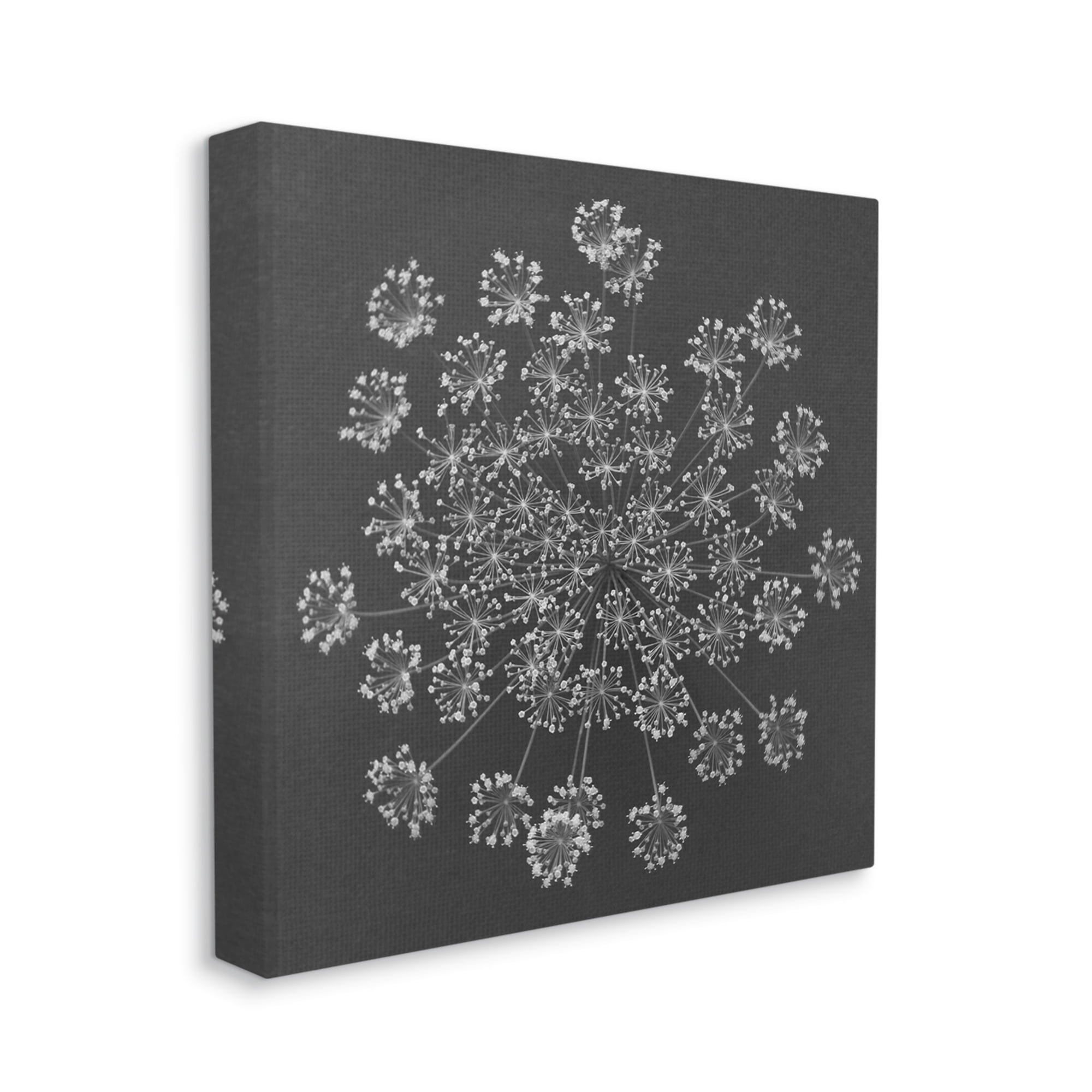 Stupell Industries Abstract Single Dandelion Flower Puff Above View Design Canvas Wall Art, 17 x 17, Design by Barry Rosenthal