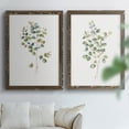 thumbnail image 6 of Eucalyptus I - Premium Framed Canvas 2 Piece Set - Ready to Hang, 6 of 7