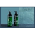 thumbnail image 4 of New York Biology Tea Tree Oil Soothing Shampoo for Dry Scalp, 16.9 oz (Pack of 2), 4 of 5