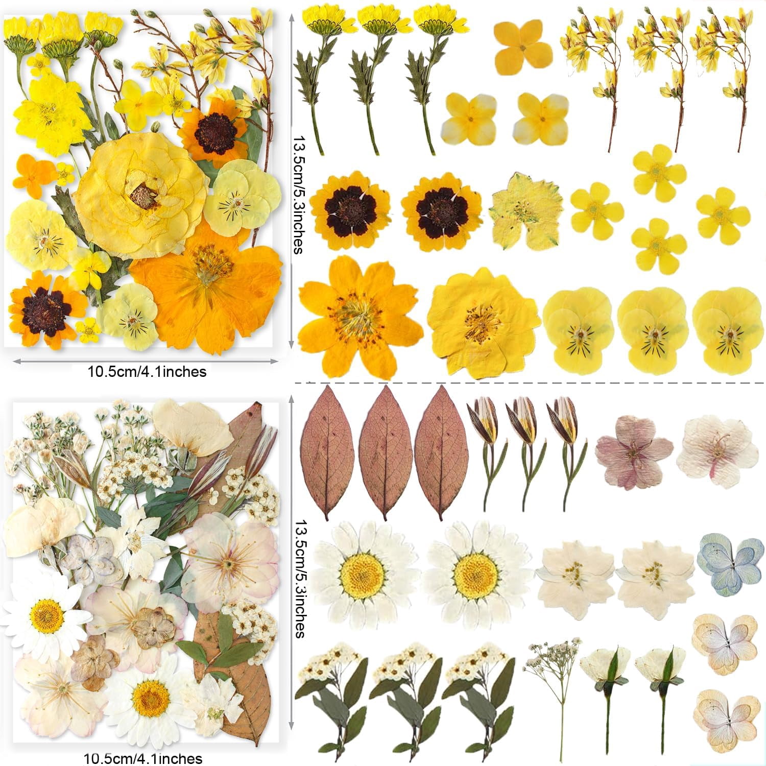 269PCS Dried Pressed Flowers for Resin Craft - Real Nature Flowers Set with Butterfly Stickers for DIY Jewelry Nail Scrapbook Art Floral Decors Iridescent