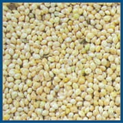 Coles Millet 20 lb (Pack of 1)