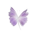 thumbnail image 2 of Plastic Butterfly Veils Flower Decor, 3D Lifelike Multi-Color DIY Versatile, Decor for Weddings Festive Parties Outdoor Courtyard Window Background Wall Garden Home Party Favors, 2 of 6