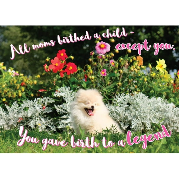 All Moms Birthed a Child Except You. You Gave Birth to a Legend Mother's Day Card