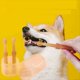 thumbnail image 4 of Cepillo de Dientes de Silicona Suave para Dedos Perros y Mascotas, Cepillo Limpieza Bucal para Dientes Mascotas, Herramienta para el Cuidado de los Dientes de Sarro y Mal Aliento, 4 of 6