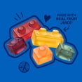 thumbnail image 3 of Annie's Organic Building Blocks Fruit Flavored Snacks, Assorted Fruit Flavors, 10 Ct, 7 oz, 3 of 15