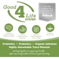thumbnail image 3 of NutriSource Element Series with Wholesome Grains Coastal Plains Turkey, Salmon & Whitefish Blend Dog Food 24 lb, 3 of 9