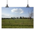 thumbnail image 2 of Print: Rural Alabama In The Spring, 2010, 2 of 4