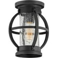 thumbnail image 2 of Hinkley Chatham 1-Light LED Outdoor Ceiling Mount, Black, Seedy Glass, 2 of 2