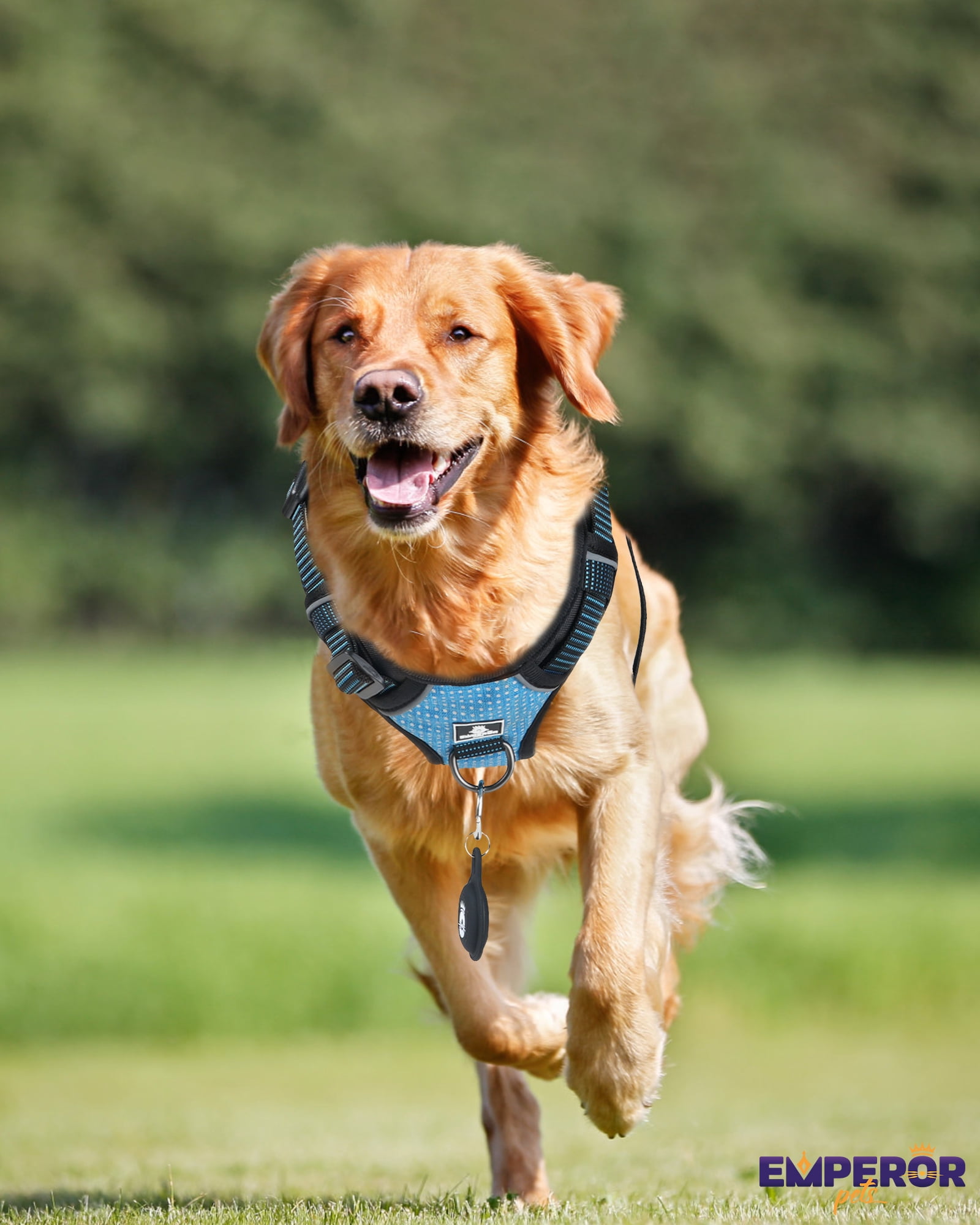 Emperor Pets Blue Reflective Dog Harness for Large Dogs - No Pull Dog Harness with 2 Leash Clips, Premium Oxford Soft Padded large dog harness, Dog Harness for Large Dogs (L, Blue)