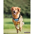 thumbnail image 3 of Emperor Pets Blue Vest Dog Harness for Large Dogs - No Pull Dog Harness with 2 Leash Clips, Premium Oxford Soft Padded large dog harness, Dog Harness for Large Dogs (L, Blue), 3 of 10
