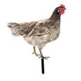 thumbnail image 2 of Estatuilla de gallo para jardín, adorno de gallina, regalo, estatua de jardín de pollo para pasillo, granja, entrada, cumpleaños, Acción de Gracias Estilo B, 2 of 8