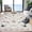 Beige, variant on Area Rug 4x6 Indoor Floral Insect Pattern, Ultra Soft Machine Washable Stain Resistant, Non-Slip Backing Low Pile for Living Room Bedroom Dining Office