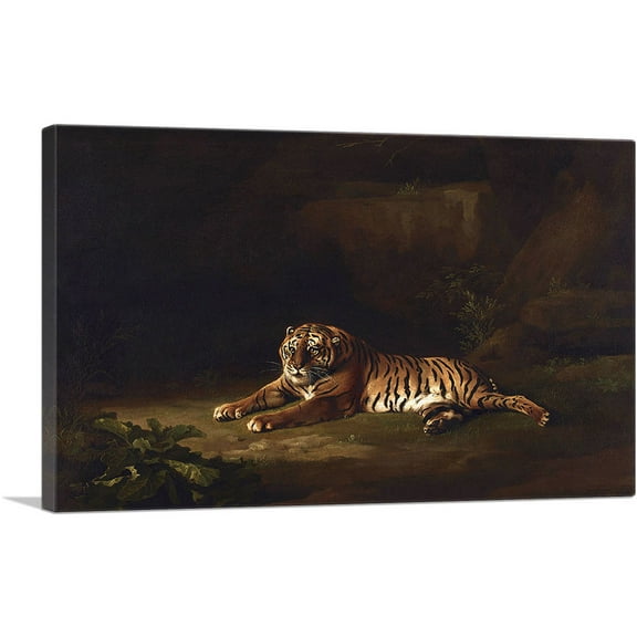 ARTCANVAS Tiger 1770 Canvas Art Print by George Stubbs - Size: 18" x 12" (1.50" Deep)