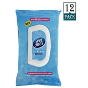 Wet Ones - Be Fresh Original Antibacterial - 12 Packs of 40 Wipes (480 wipes)