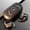 Black BK, variant on Giunmcul Online Shopping Ear Mounted Non In Ear Intelligent Digital Display Bluetooth 5.3 Directional Sound Transmission with Long Battery Life Wireless Earphones