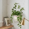 thumbnail image 5 of Darzheoy Scalloped Wall Basket, Plastic Vine-Inspired Woven Wall Mounted Vase, No Drilling Required Flower Basket Hanging Pot, Suitable for Living Room, Garden, Patio, Home, Wall Decor, 5 of 9