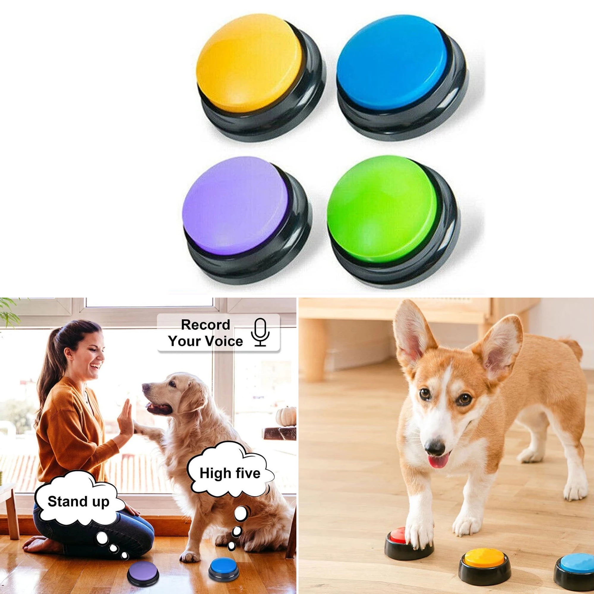 Recordable Dog Buttons - Pet Training Buzzer Set (4 France