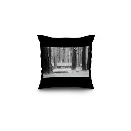 State Park Entrance - Richardson Grove State Park Entrance (16x16 Spun Polyester Pillow, Black Border)