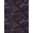 thumbnail image 2 of Shake Go Brazilia Wet & Wavy Huma Hair Lace Frot - GLOW DEEP (ATURAL), 2 of 2