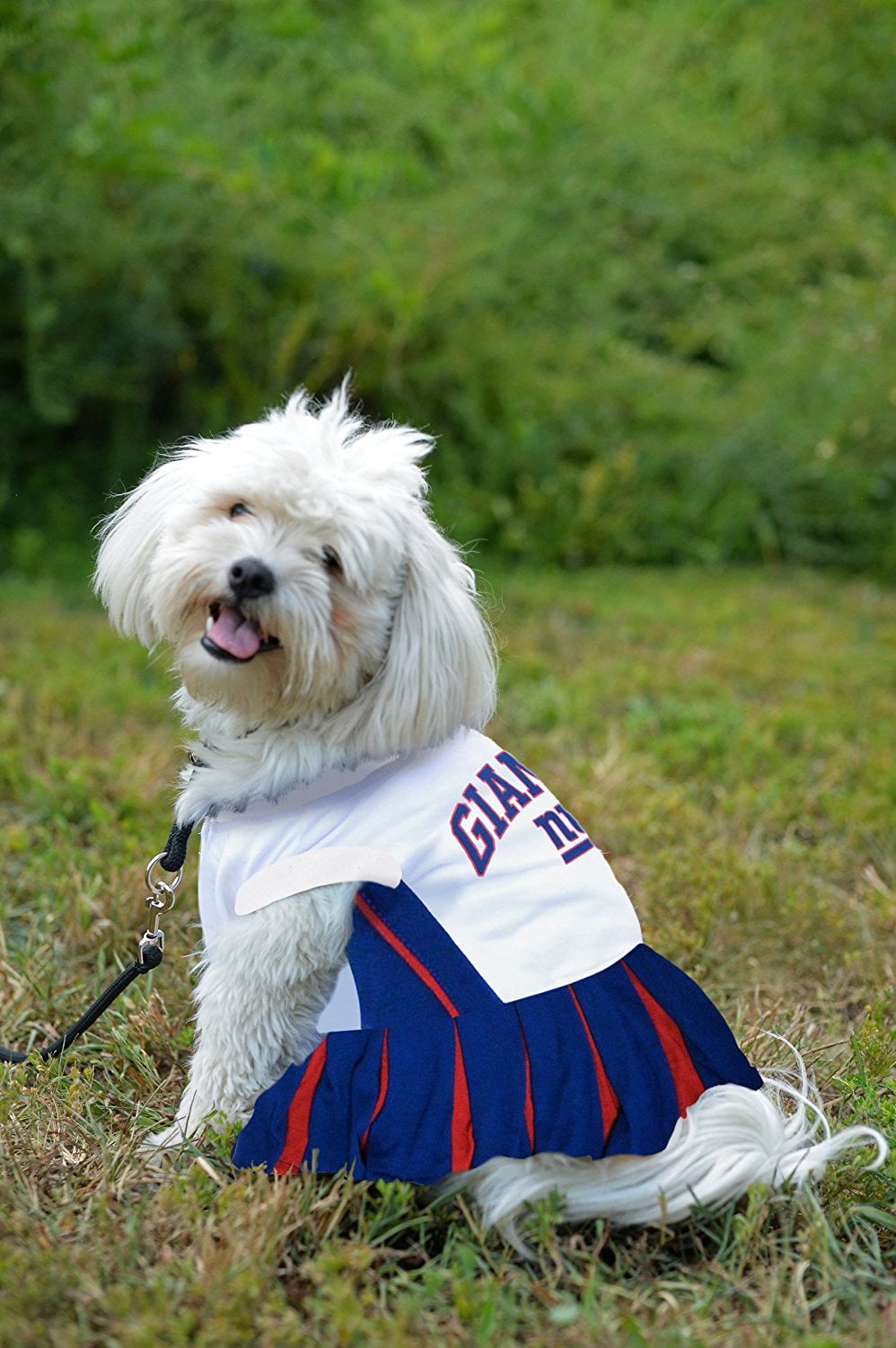 Pets First NFL New York Giants Cheerleader Outfit, 3 Sizes Pet Dress Available. Licensed Dog Outfit