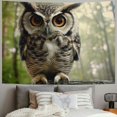 thumbnail image 2 of Orinice Owl Branch Forest Tapestry Wall Hanging Unique Style Graphic Tapestries Home Wall Decor Art for Living Room Bedroom Apartment Dorm Farmhouse 60x50inch, 2 of 6