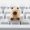 Closestool Capybara Keycap, variant on Artisan Keycaps Cute Capybara Fish Keycaps 1U ESC Custom Keycap for Mechanical Keyboard