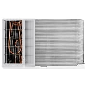 LG 10,000 BTU 230V Through-the-Wall Air Conditioner with 11,200 BTU Supplemental Heat Function, LT1033HNR