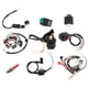 thumbnail image 2 of Arnés de cables cuádruple CDI de repuesto para ATV, quad, motocross, karts, etc. de 50 cc, 70 cc, 90 cc, 110 cc y 125 cc., 2 of 14