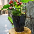 thumbnail image 4 of MesaSe Flower Pot Wavy Design Flower Plant Pot Automatic Absorbing Water Resin Tabletop Planter, 4 of 6
