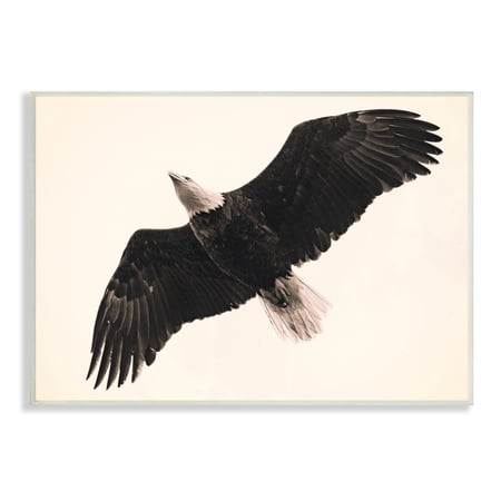 Stupell Industries Eagle Flying Overhead Vintage Bird Sepia Tone Photography 15 x 10 Design by Nancy Crowell