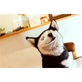 thumbnail image 1 of Juguete de peluche grande y divertido de 70 cm, almohada creativa súper bonita para niños, regalo de cumpleaños de alta calidad zhangyuxiang LED, 1 of 2