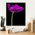 thumbnail image 5 of Epic Graffiti 'Purple Tulip Glow' by Pamela Plummer, Canvas Wall Art, 20"x24", 5 of 8