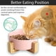 thumbnail image 4 of Cuenco para perros, comedero, comedero para perros y gatos con soporte, 4 of 6