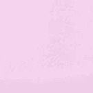 Ballerina Pink/Candy Pink