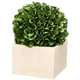 thumbnail image 6 of Faux Boxwood Boxed Topiary, Medium-Color:Green,Style:Botanical, 6 of 6