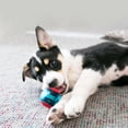 thumbnail image 3 of CHUANK Squeezz Action Ball Dog Toy Red 1ea/MD, 3 of 3