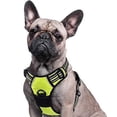 thumbnail image 1 of No-pull Dog Harness Padded Adjustable Pet Vest Harness For Large Dogs Training Or Walking, 1 of 5